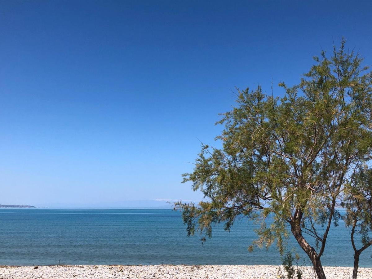 Káto Ássos Casa Cuore Modern Stay Near The Sea מראה חיצוני תמונה